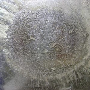 Acquistare Mescalina HCL